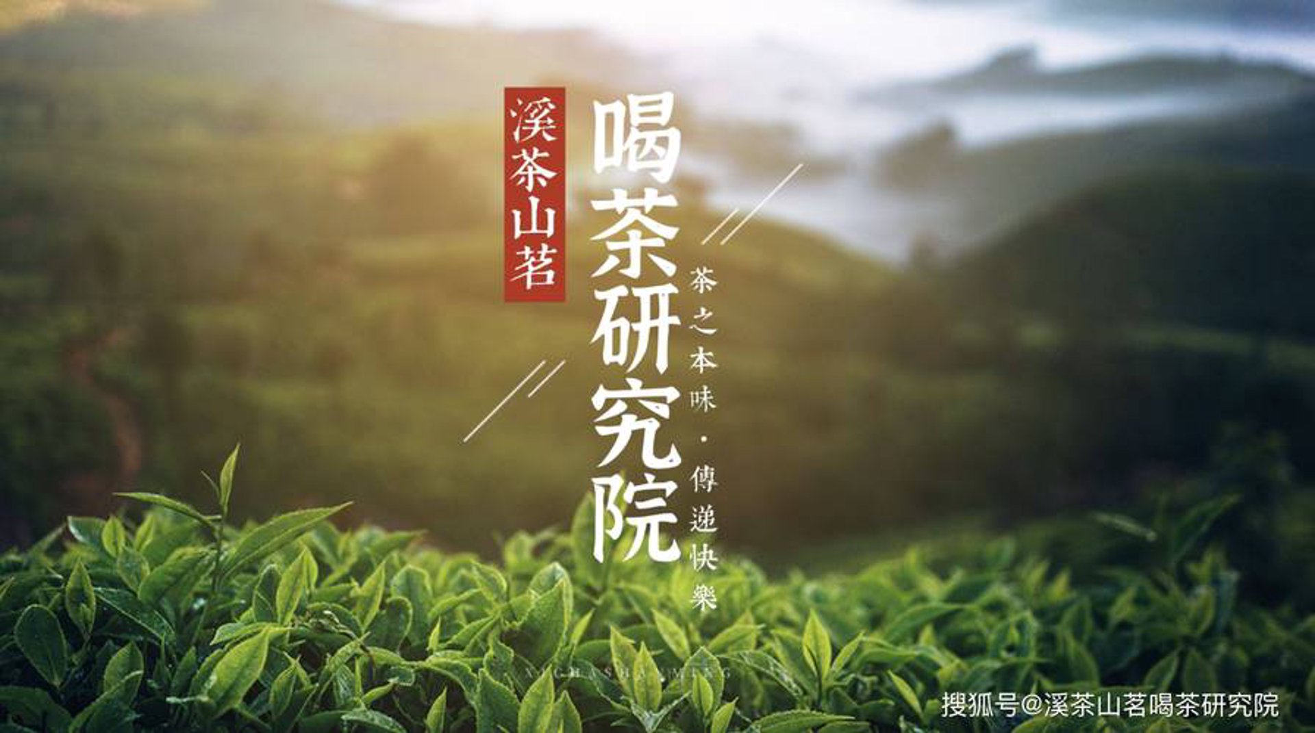 今艺茗品茶饮
